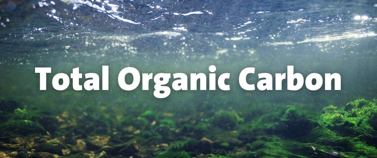 Text saying 'Total Organic Carbon' on top of an underwater riverbed. 