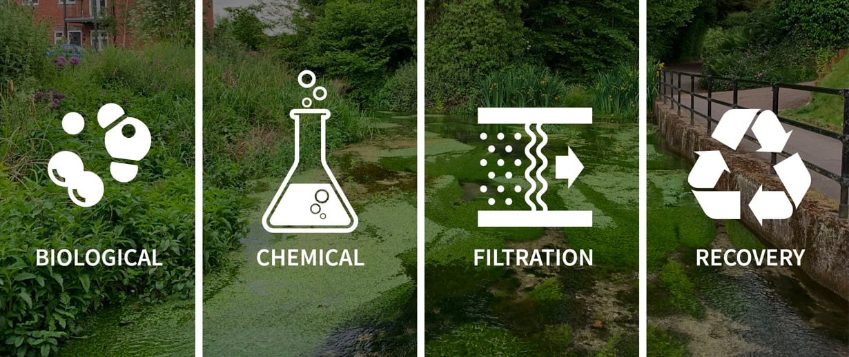 phosphorus