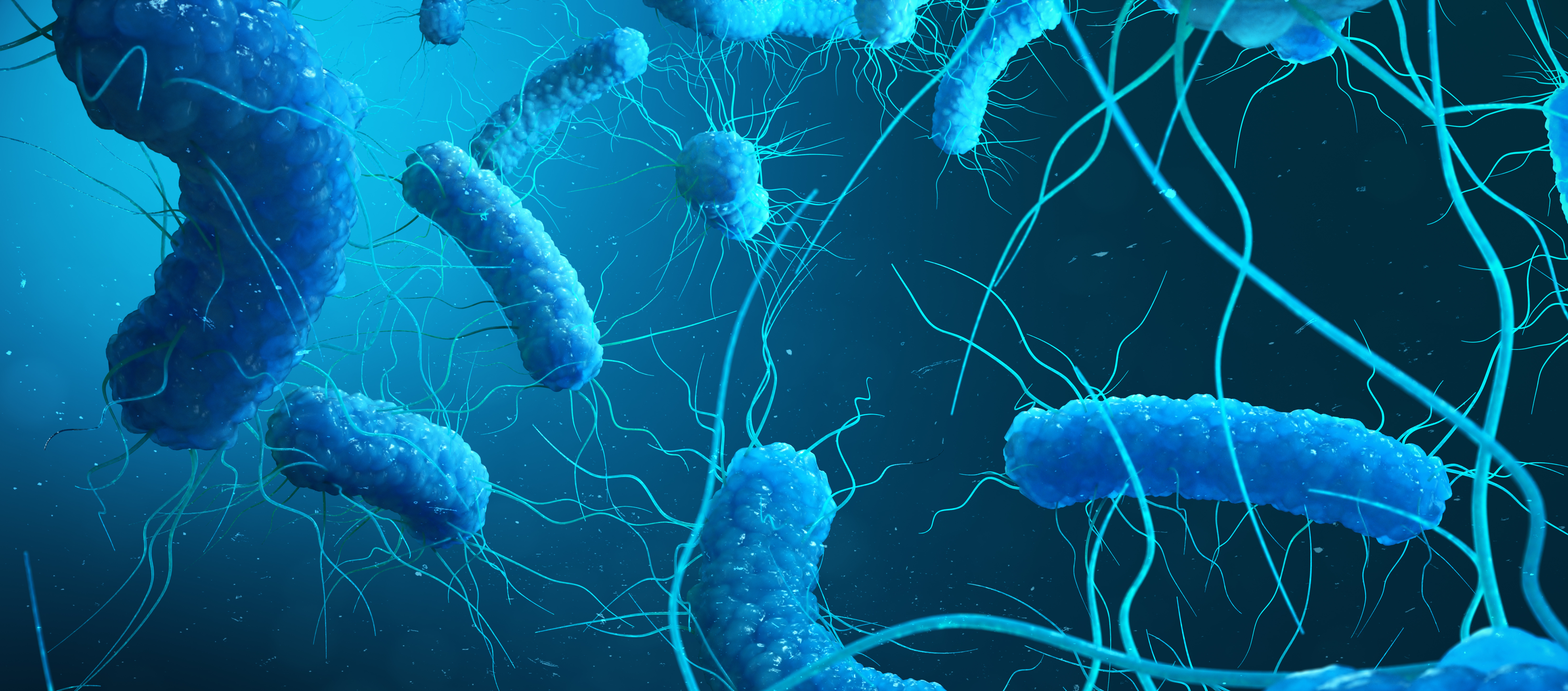 Legionella