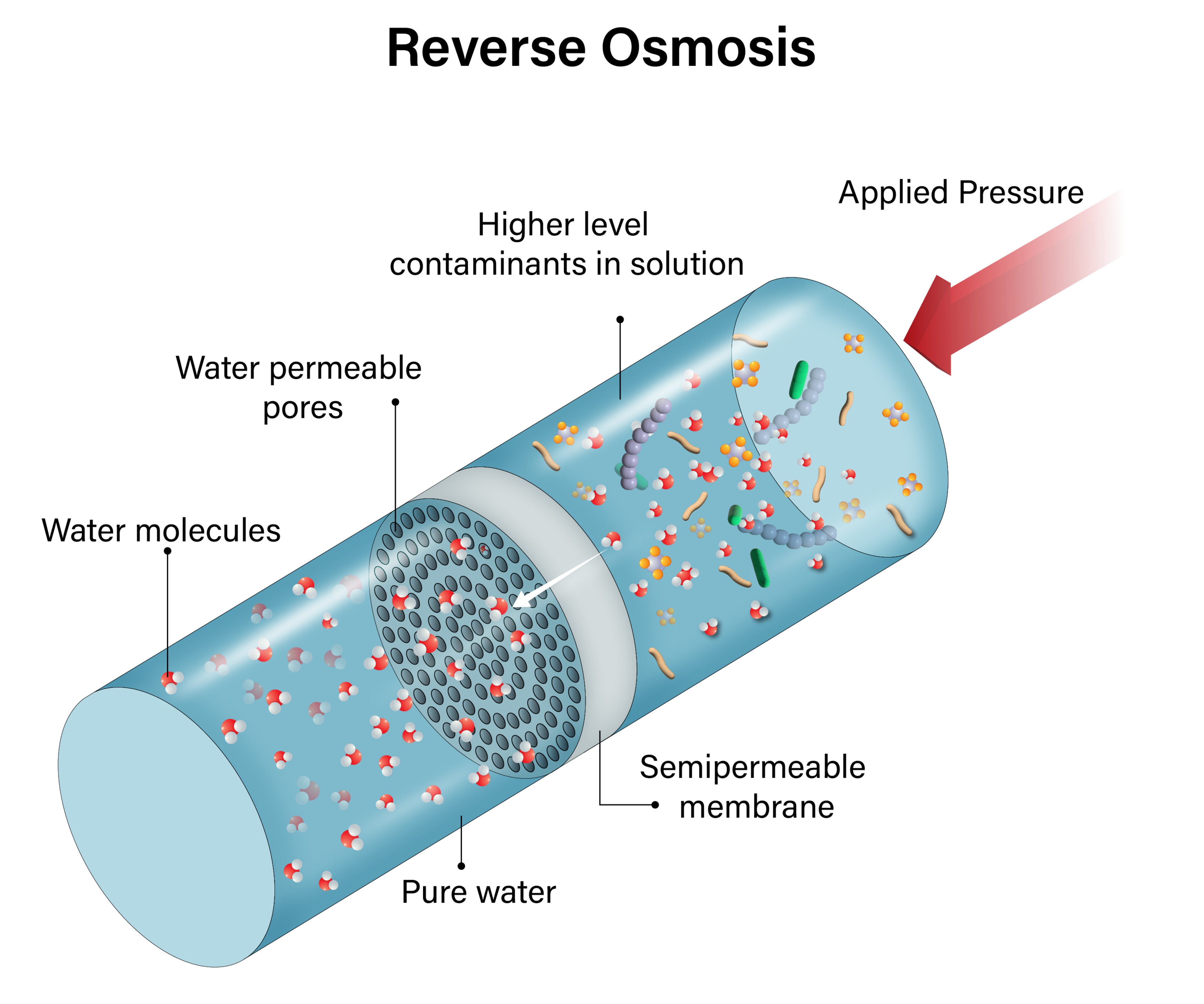 Detailed Vector Illustration of Reverse Osmosis Mechanism Using Semipermeable Membrane: An In-Depth Look at Water Purification Process with Labels