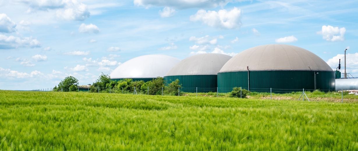 Biogas