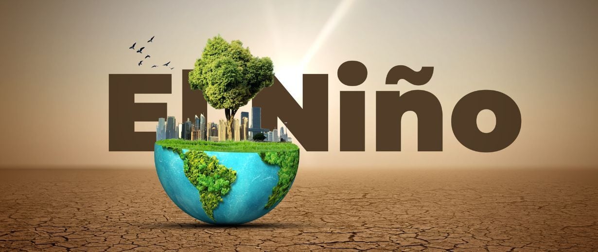 El Niño concept of weather phenomenon cause drought and Dry cracked soil. El Niño Concept of change climate. Climate pattern the unusual warming of surface water eastern tropical Pacific Ocean.