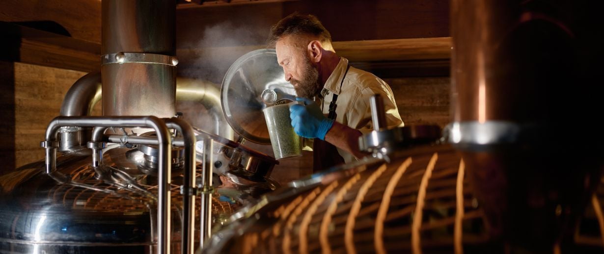 Brewer adding ferment with yeast or hop into beer tank