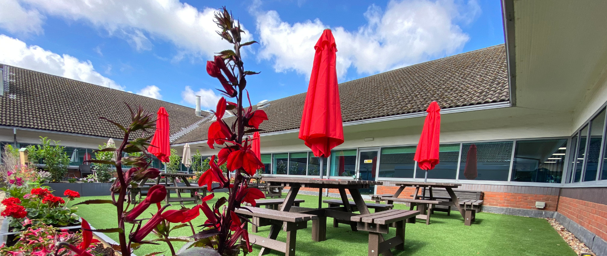 Rooftop Garden
