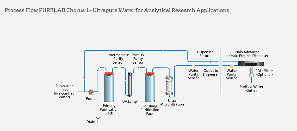 Chorus 1 Process Flow