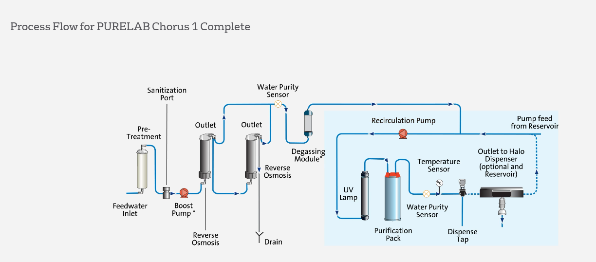 Chorus 1 Complete Process Flow