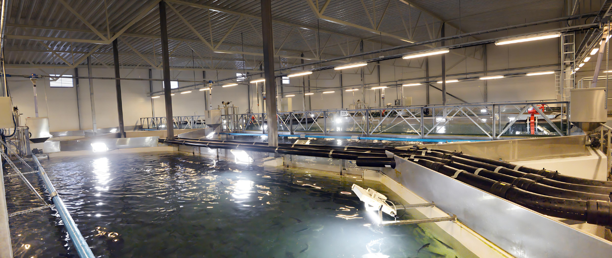 An aquaculture fish farm