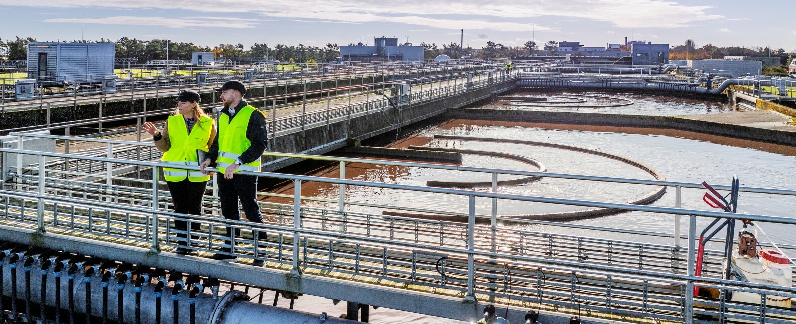 Phosphorus removal